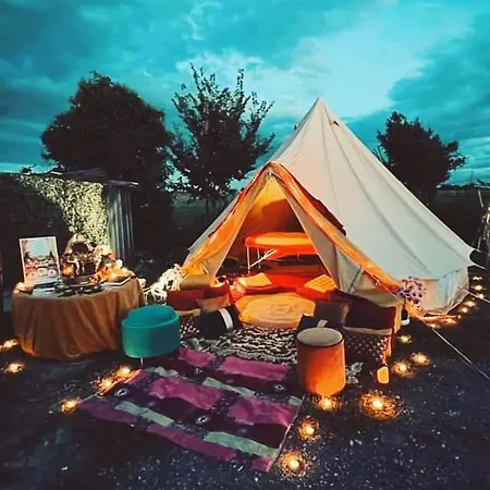 Guinguette Pour Faire La Fete *